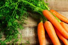 Морковь на хранение на зиму: как обрезать и правильно заготовить?